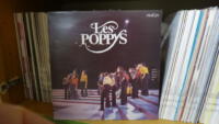 3_055-Les-Poppys