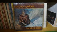 3_123-Stevie-Wonder